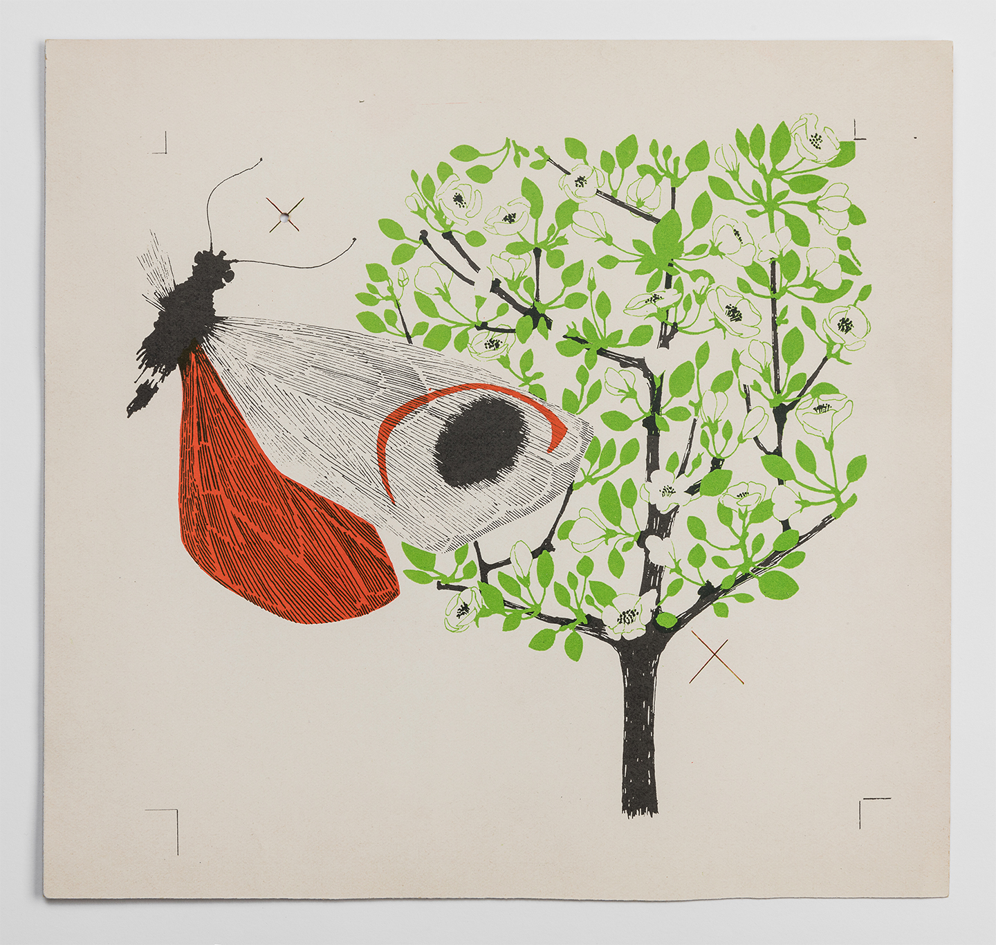 La mela e la farfalla, printing draft. 1958/1969. Archivio E. Mari, City of Milan, CASVA. Photo Gianluca Di loia - © Triennale Milano. Courtesy of the Design Museum